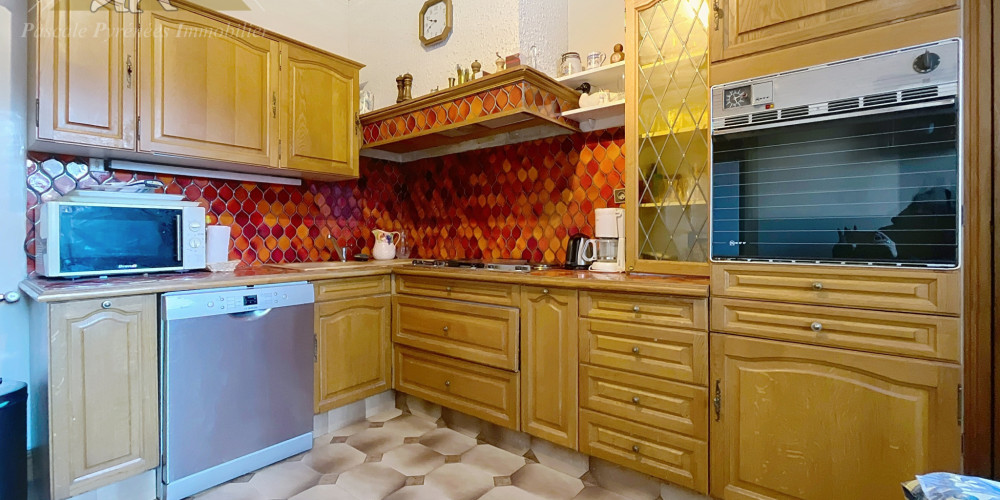 maison à ST LARY SOULAN (65170)